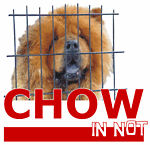 http://shiba-inu-von-der-honigsburg.de/shiba/bilder/Chowinnot.jpg